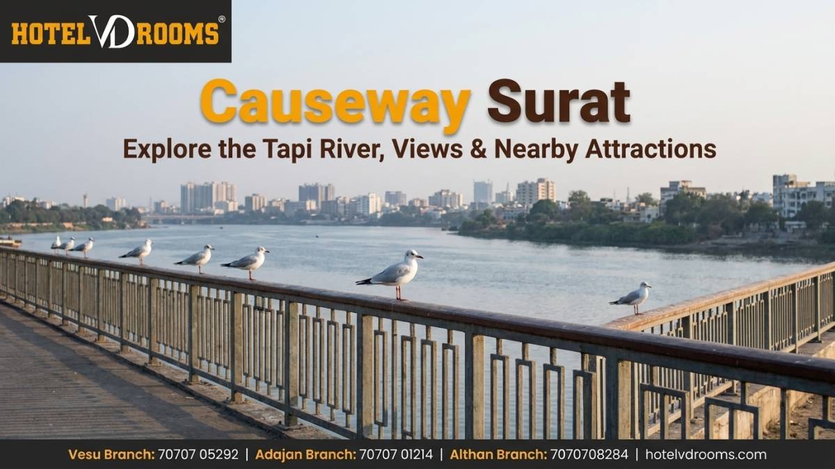 Causeway Surat: Complete Guide to Location, Tapi River Views, Nearby Attractions, Food & Best Hotels